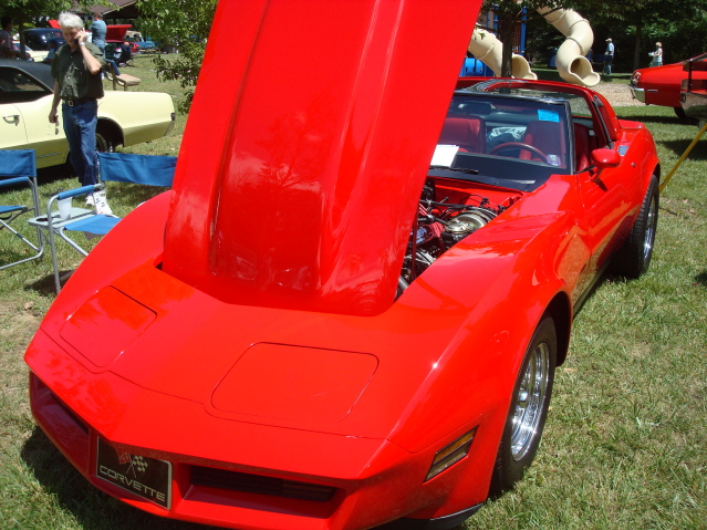 AH 6-25-11 Picnic 041.jpg