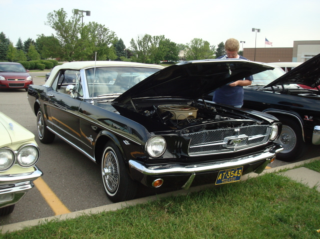 62711_103.jpg