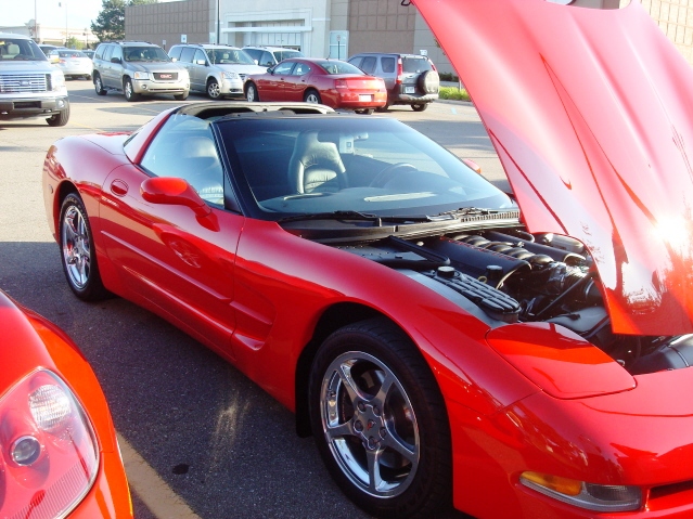 81511_041.jpg