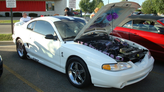 7148_051.JPG