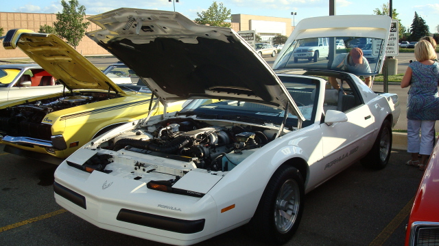 7148_057.JPG