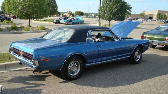 8118_006.JPG