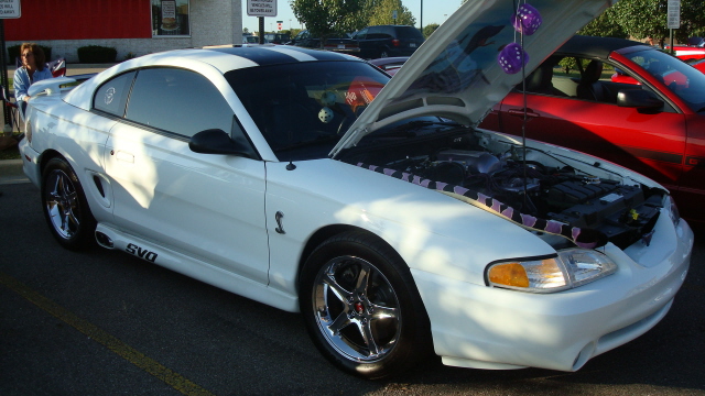 8258_124.JPG