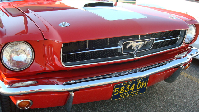 9208_042.JPG