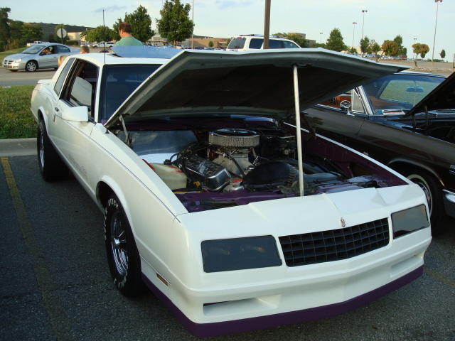 8109_063.JPG