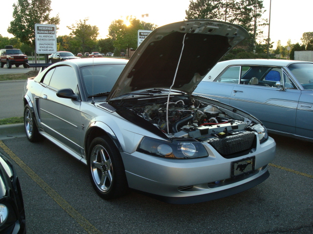 8249_053.JPG