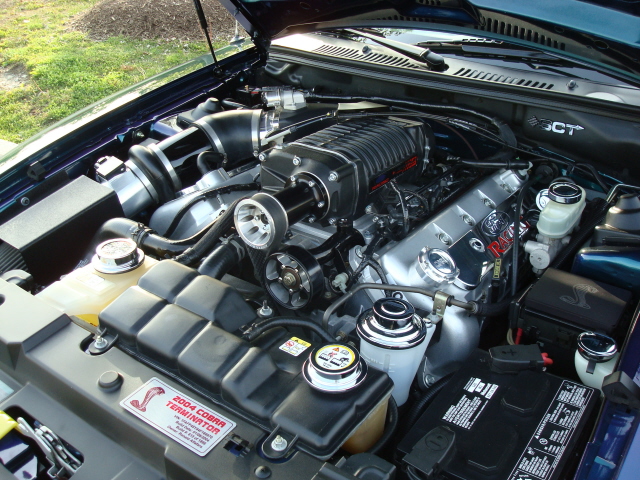 51010_104.JPG