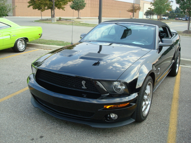 83010_097.JPG