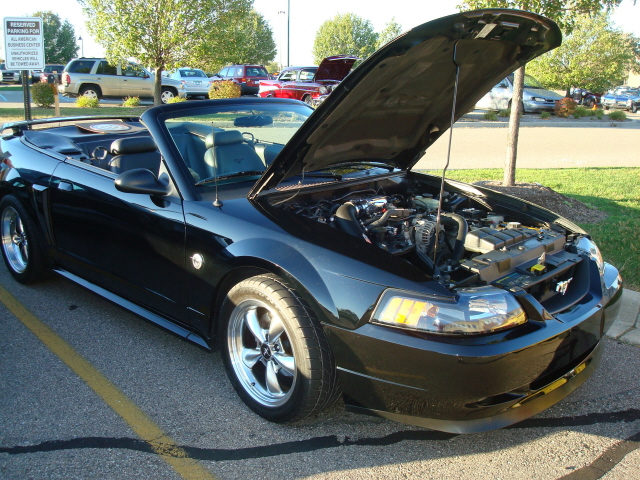 91310_181.JPG