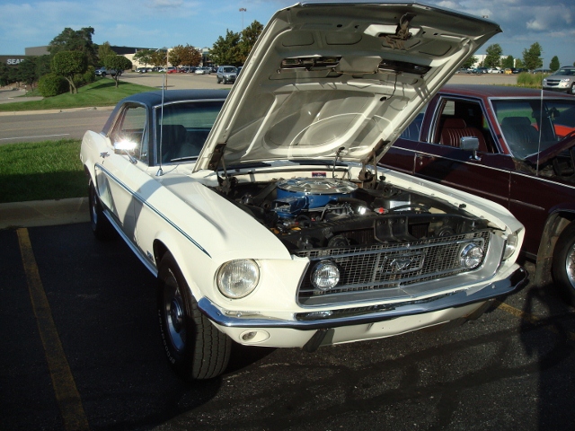  82012 (82)