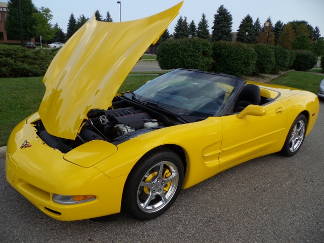  81814 (86)