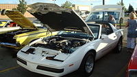 7148_057.JPG