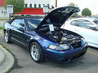 6710_012.JPG
