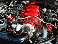 6710_063.JPG
