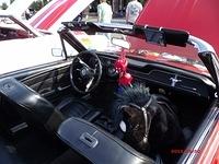  52013 (31)